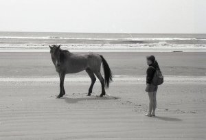 marylou-3.jpg